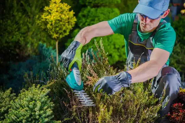 landscaping services Lincoln Heights